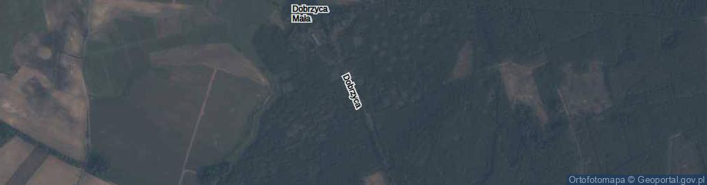 Zdjęcie satelitarne Dobrzyca Mała ul.